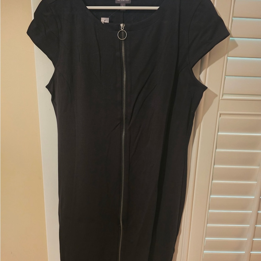 The Limited Black Mini Dress with Zipper